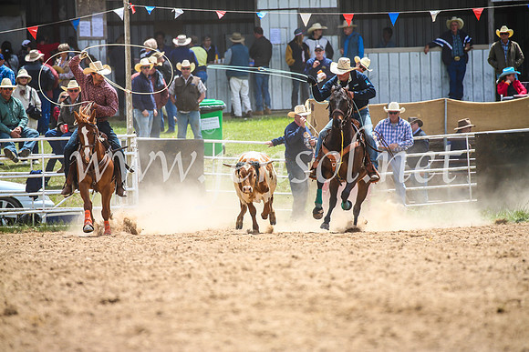BungendoreRodeo2017_1799