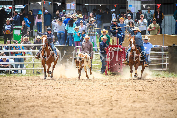 BungendoreRodeo2017_2530