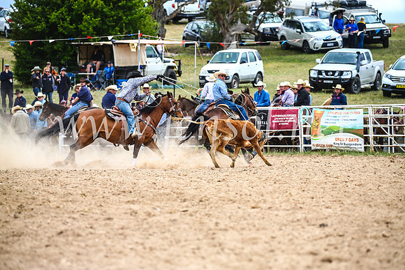BungendoreRodeo2017_1594