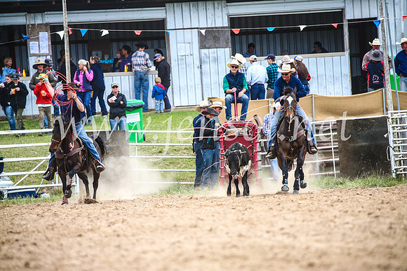 BungendoreRodeo2017_1624