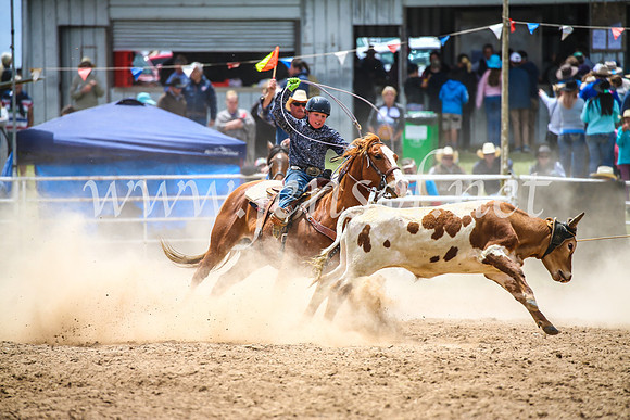 BungendoreRodeo2017_2542