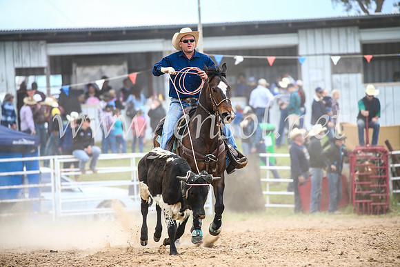 BungendoreRodeo2017_1638