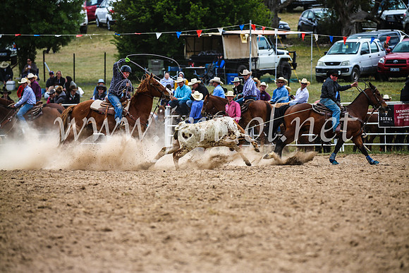 BungendoreRodeo2017_1841