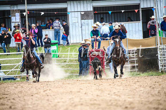 BungendoreRodeo2017_1625