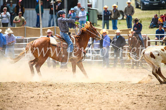 BungendoreRodeo2017_2551