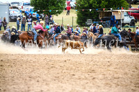 BungendoreRodeo2017_1793