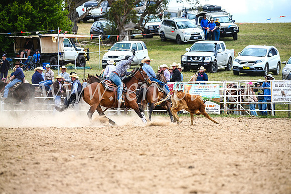 BungendoreRodeo2017_1591