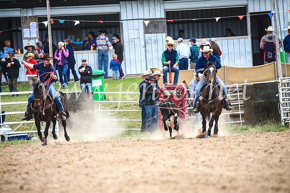 BungendoreRodeo2017_1627