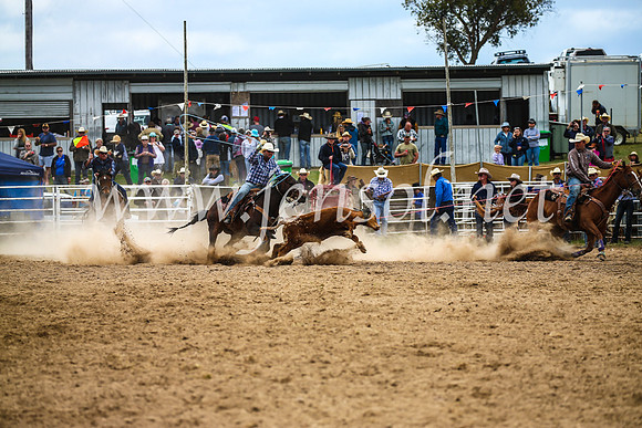 BungendoreRodeo2017_2494