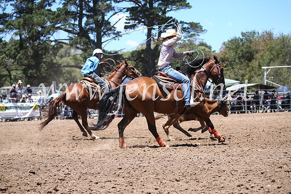 TaralgaRodeoSun2017_1890