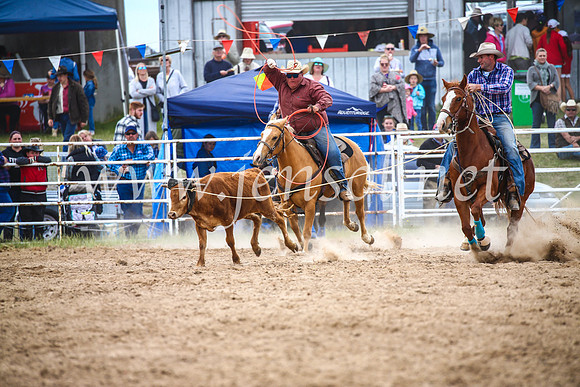 BungendoreRodeo2017_2580