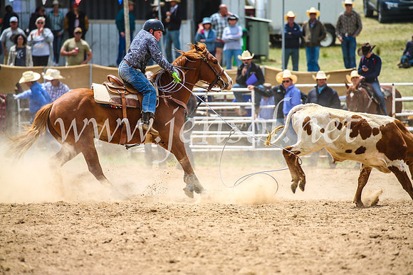 BungendoreRodeo2017_2553
