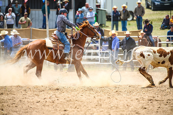 BungendoreRodeo2017_2550