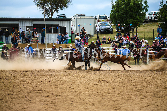 BungendoreRodeo2017_2507