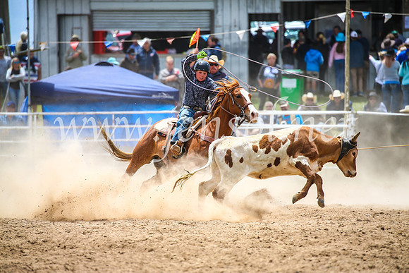 BungendoreRodeo2017_2540