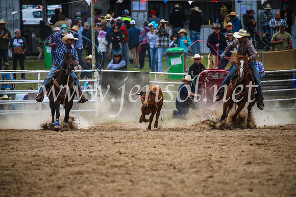 BungendoreRodeo2017_2501
