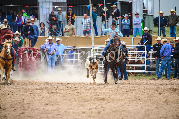 BungendoreRodeo2017_2556