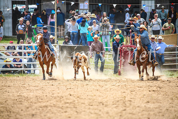 BungendoreRodeo2017_2534