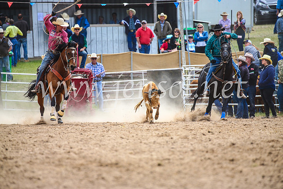 BungendoreRodeo2017_1782
