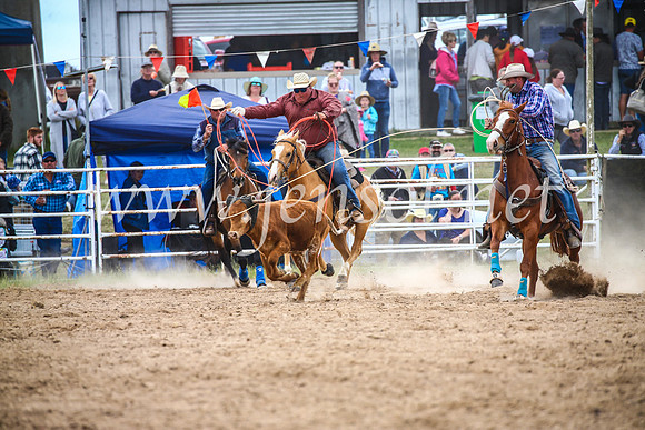 BungendoreRodeo2017_2589