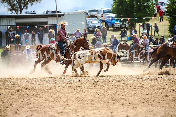 BungendoreRodeo2017_1809