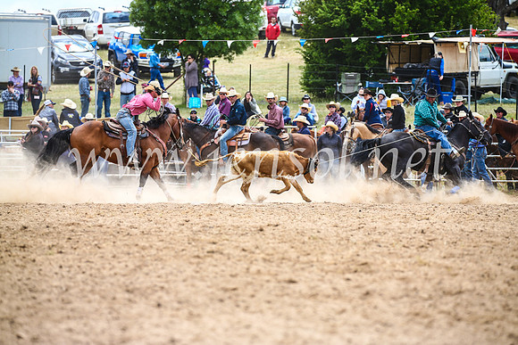 BungendoreRodeo2017_1795