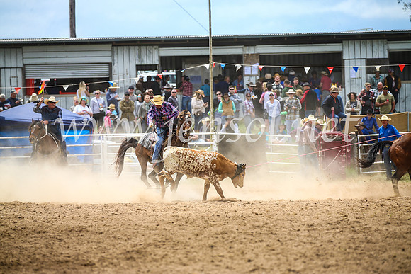 BungendoreRodeo2017_2628