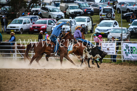 BungendoreRodeo2017_1866