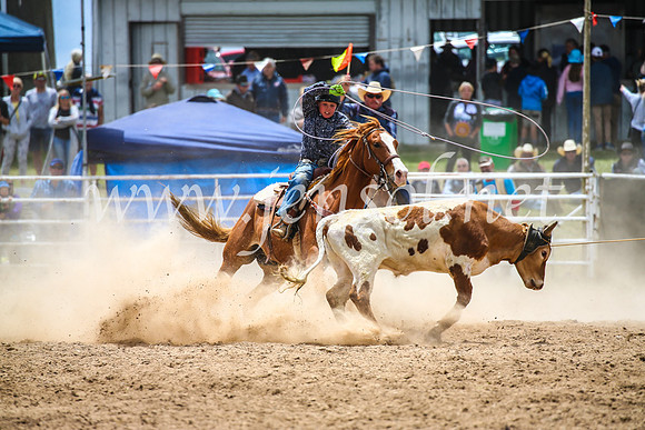 BungendoreRodeo2017_2541