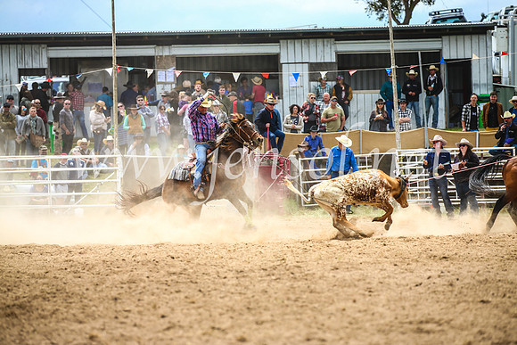 BungendoreRodeo2017_2647