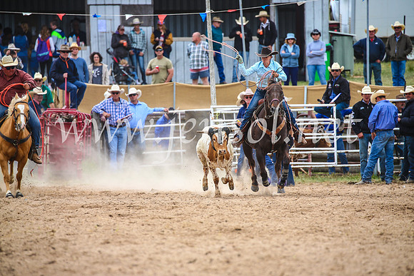 BungendoreRodeo2017_2554