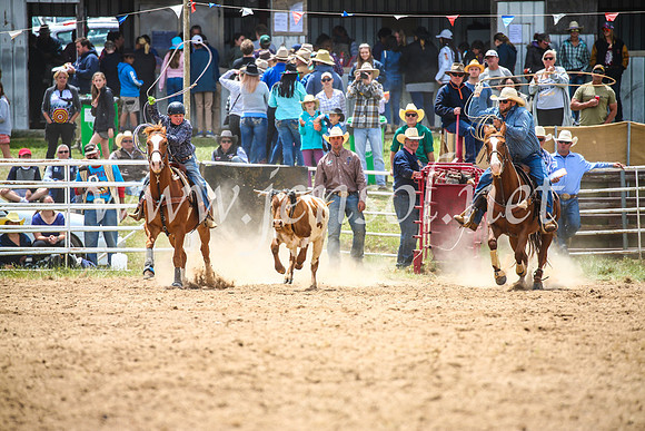 BungendoreRodeo2017_2539