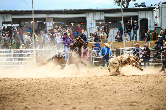 BungendoreRodeo2017_2642