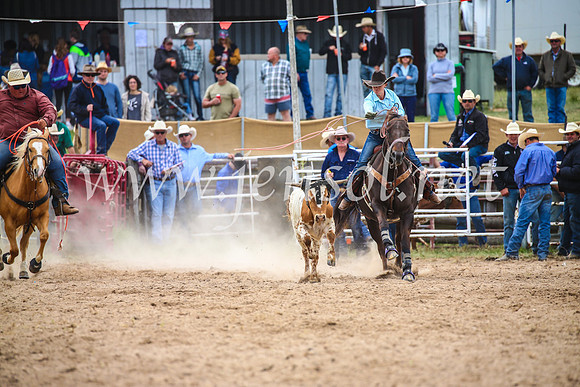 BungendoreRodeo2017_2561