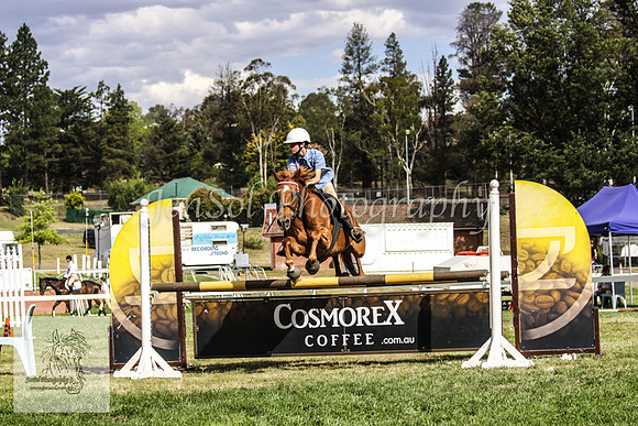 Wed_Showjumping 027