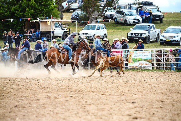 BungendoreRodeo2017_1593