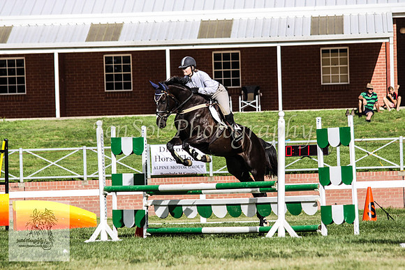 Wed_Showjumping 130