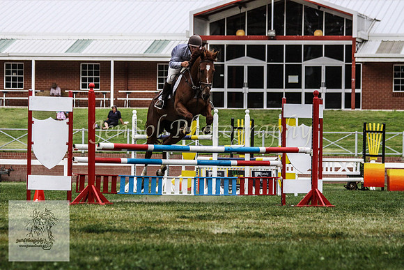 Wed_Showjumping 243