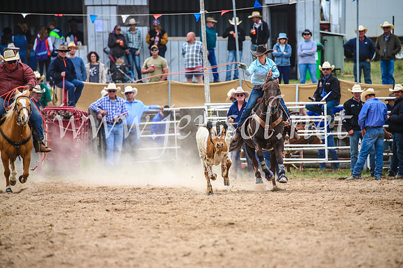 BungendoreRodeo2017_2555