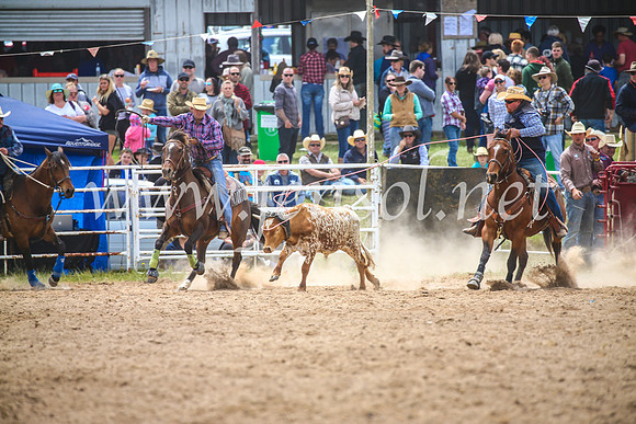 BungendoreRodeo2017_2621