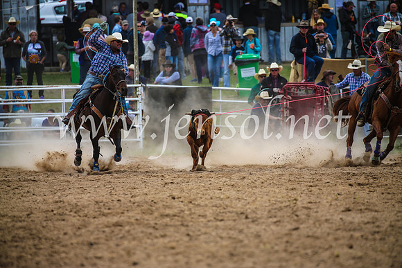 BungendoreRodeo2017_2493