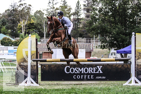 Wed_Showjumping 384