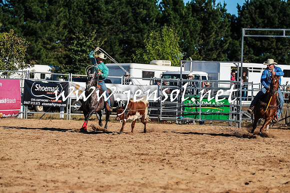 BraidwoodRodeo2016_1002