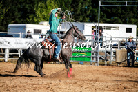 BraidwoodRodeo2016_1003