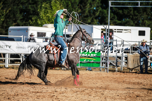 BraidwoodRodeo2016_1003