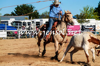 BraidwoodRodeo2016_1068