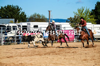 BraidwoodRodeo2016_1124
