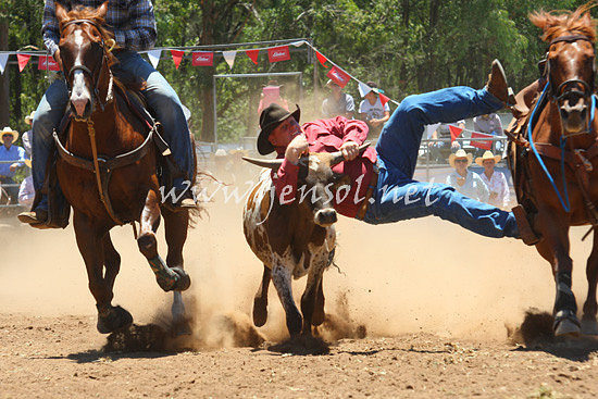 pictonrodeo2013one_0454_1