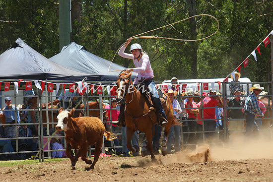 pictonrodeo2013one_0397_1