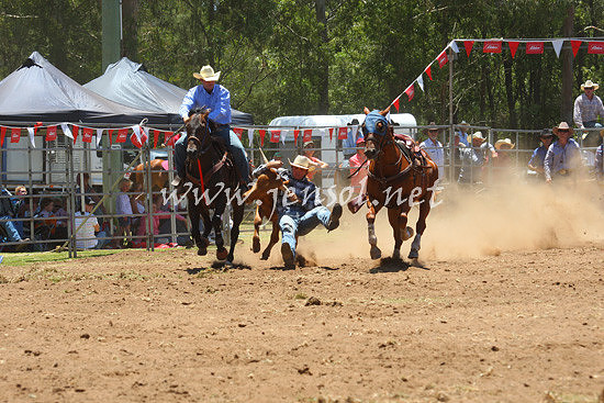 pictonrodeo2013one_0481_1